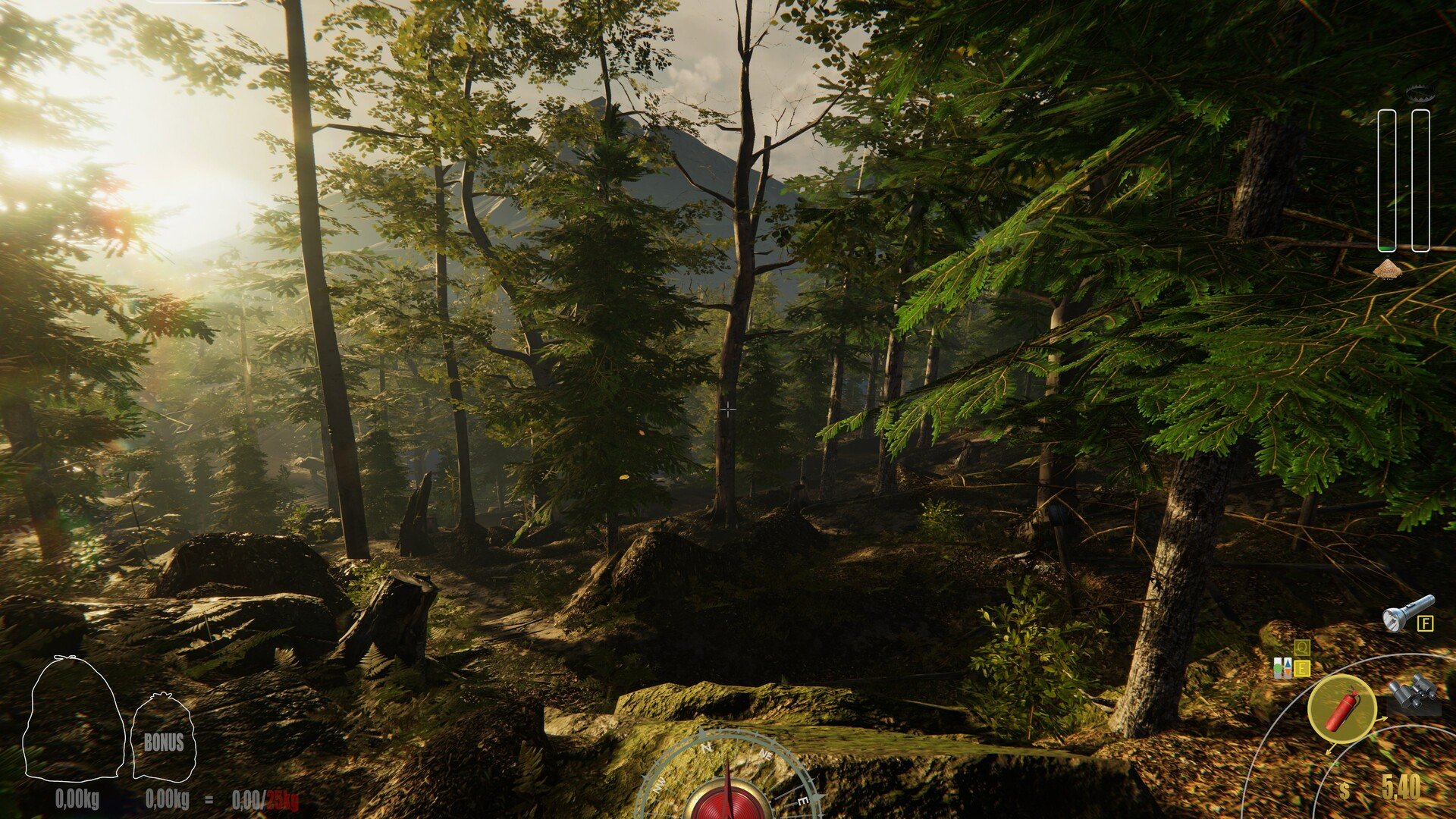 泰拉瑞亚 年度版 截图21